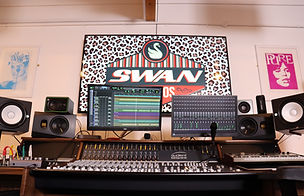 swarny studio