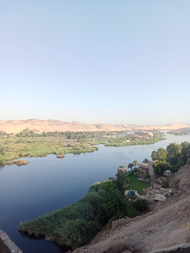 العشة