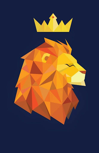 Lion photography