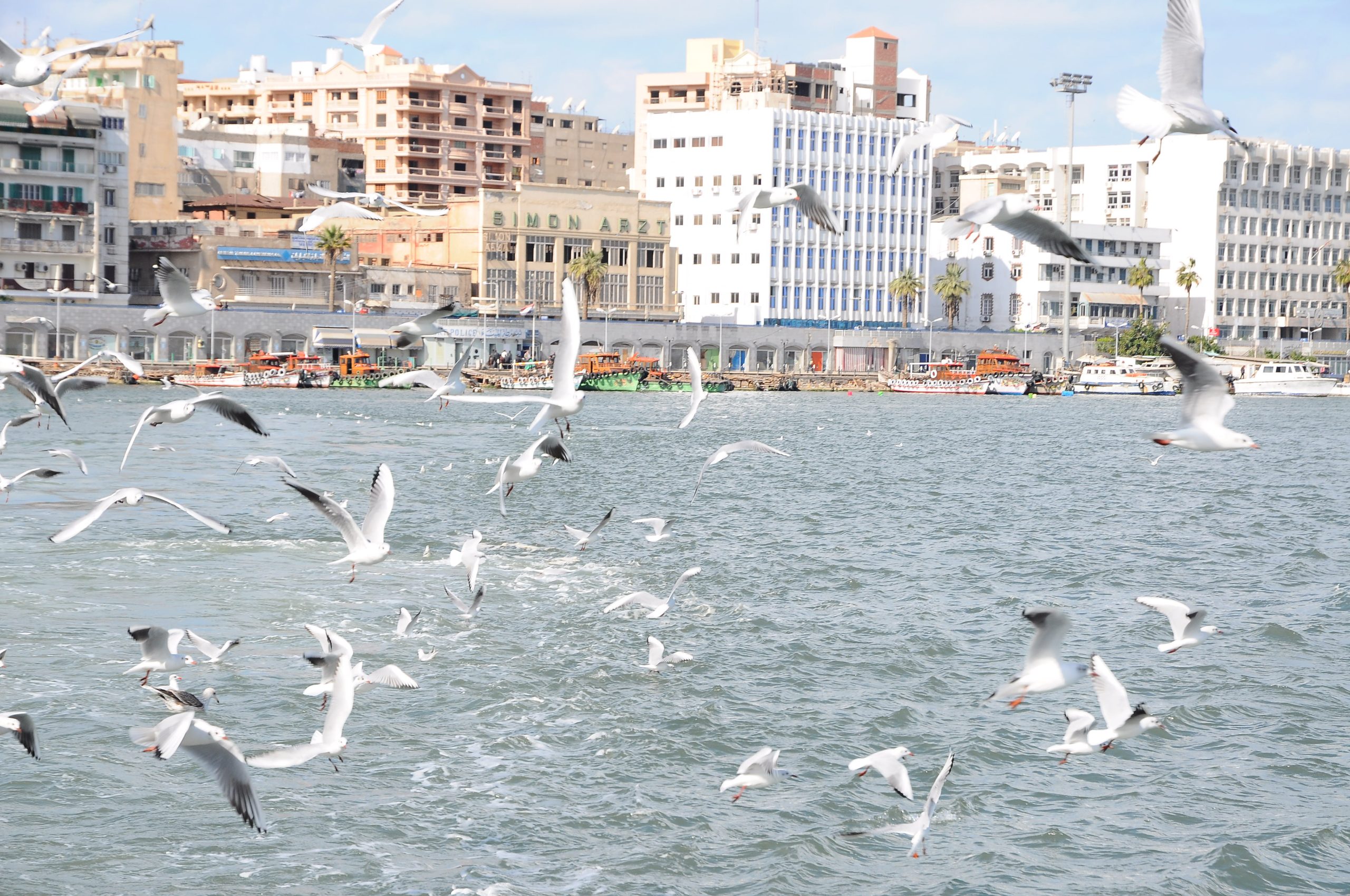 Port Said 1 صورة مدينة بورسعيد مصر | معالم بورسعيد السياحية وأجمل الأماكن في بورسعيد